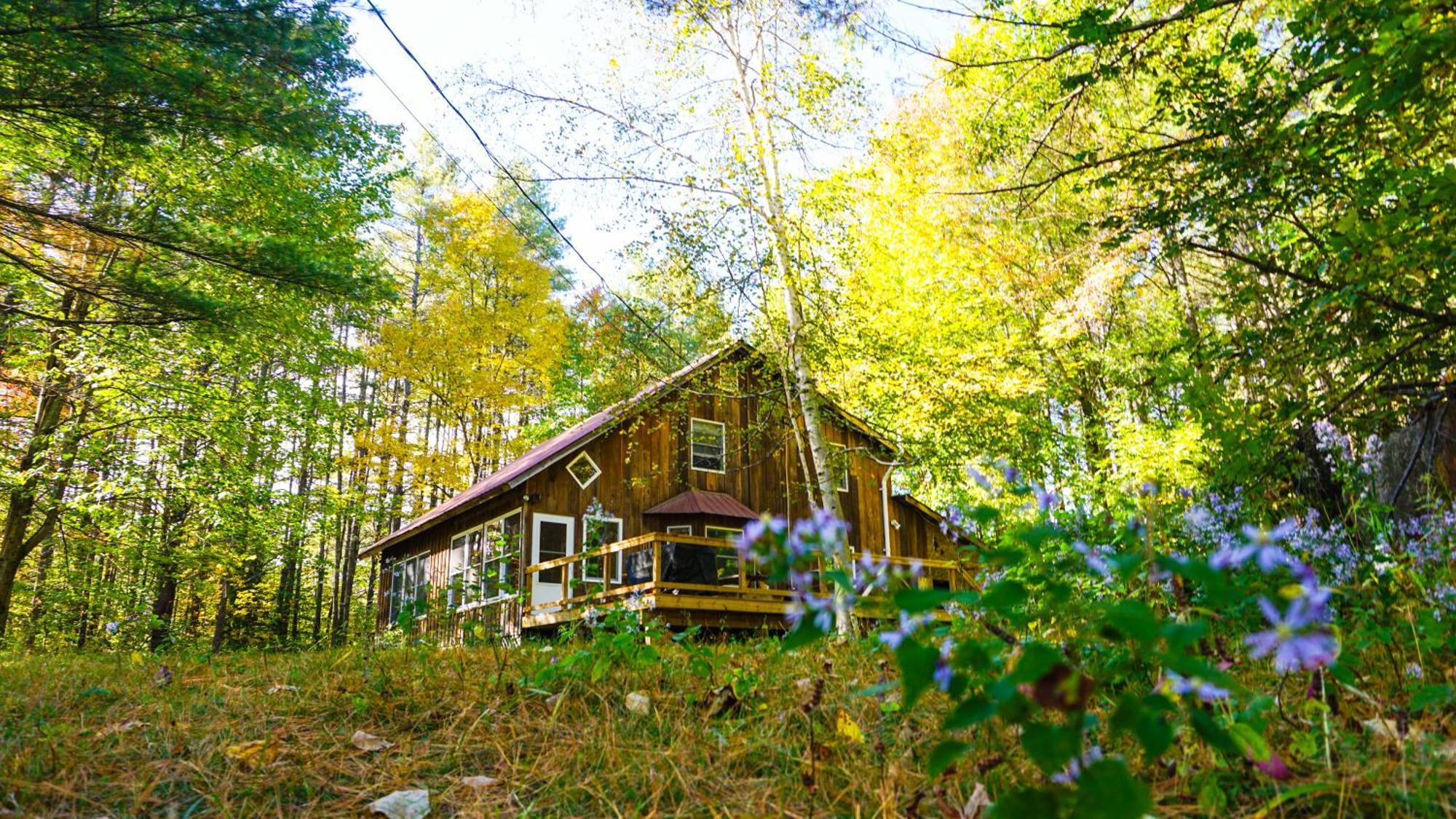 Llama House Adk Wevertown Екстер'єр фото